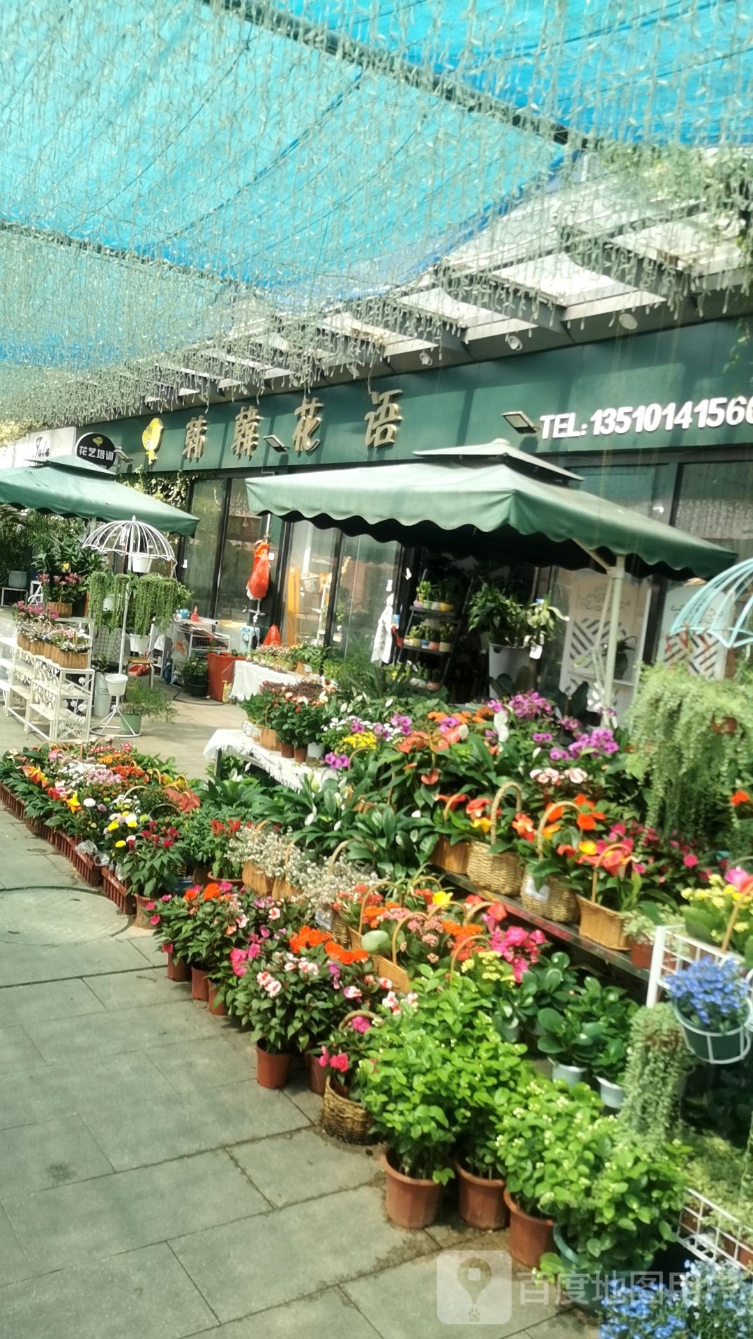 韩韩花语(花漾大厦店)