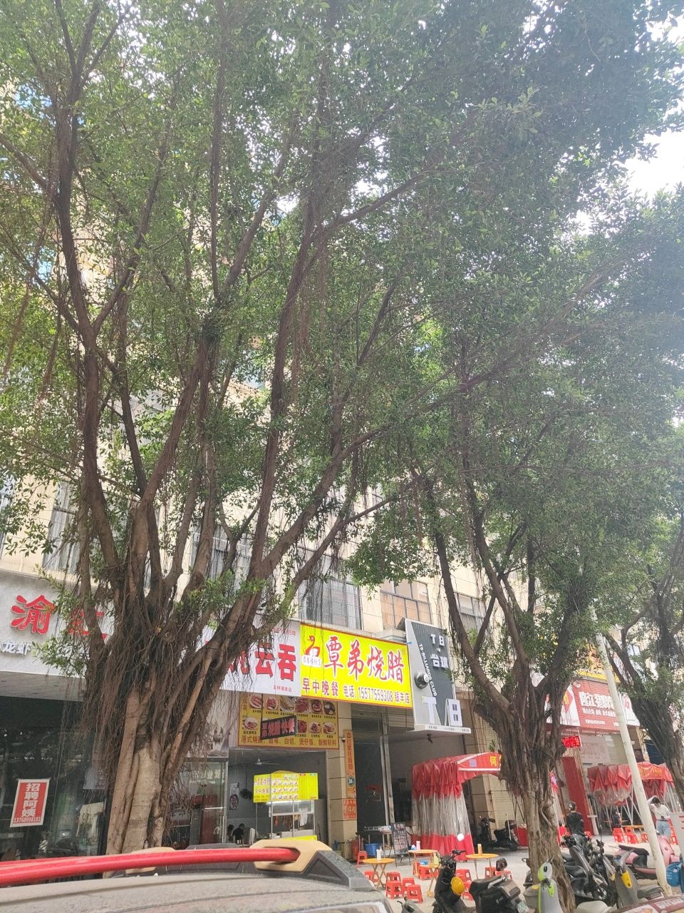 川渝红·美蛙鱼头重庆火锅