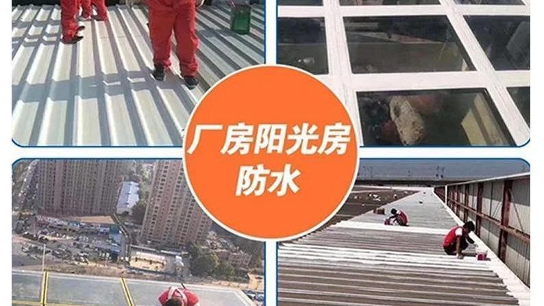 新华公园