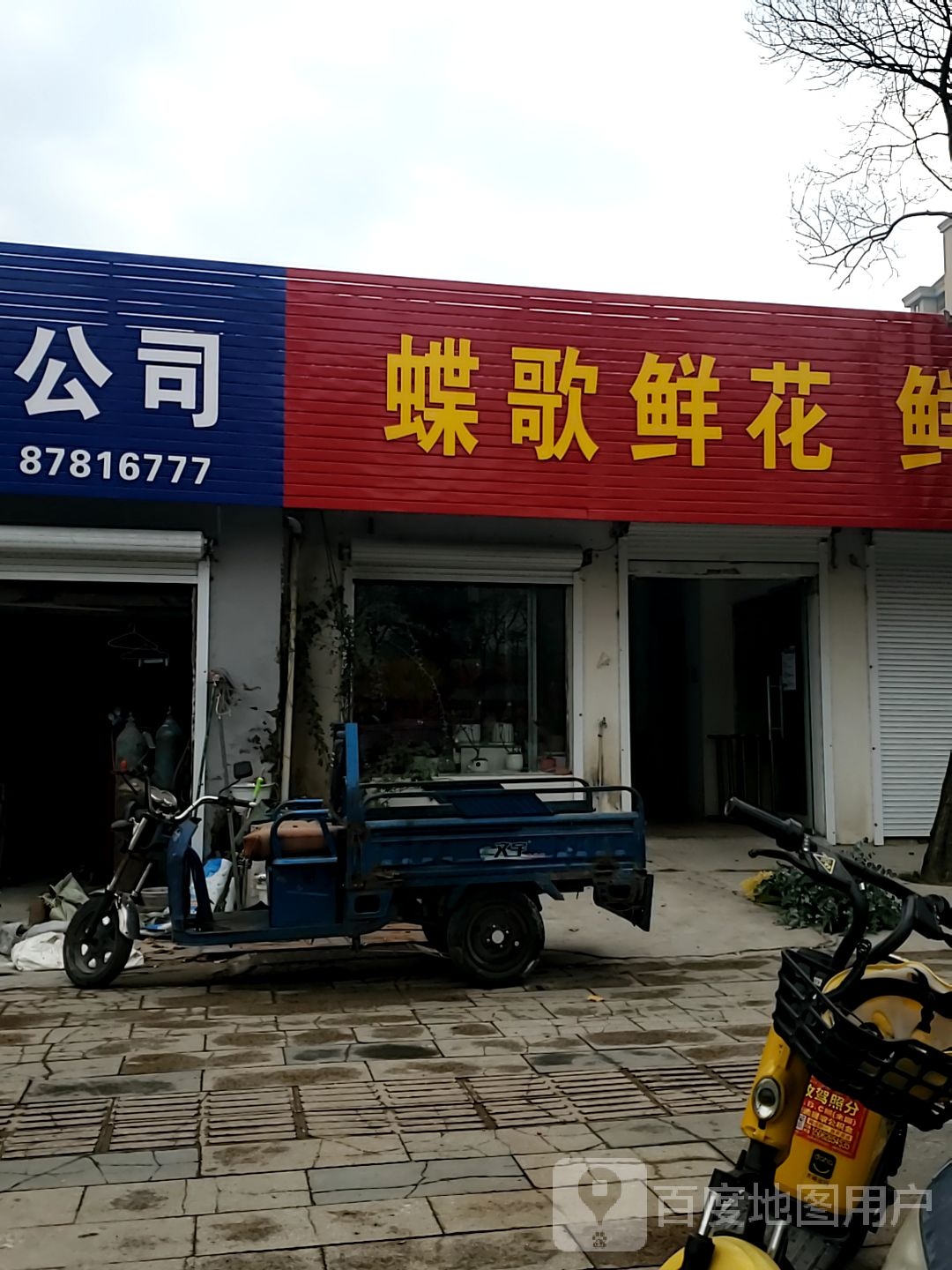 蝶歌鲜花