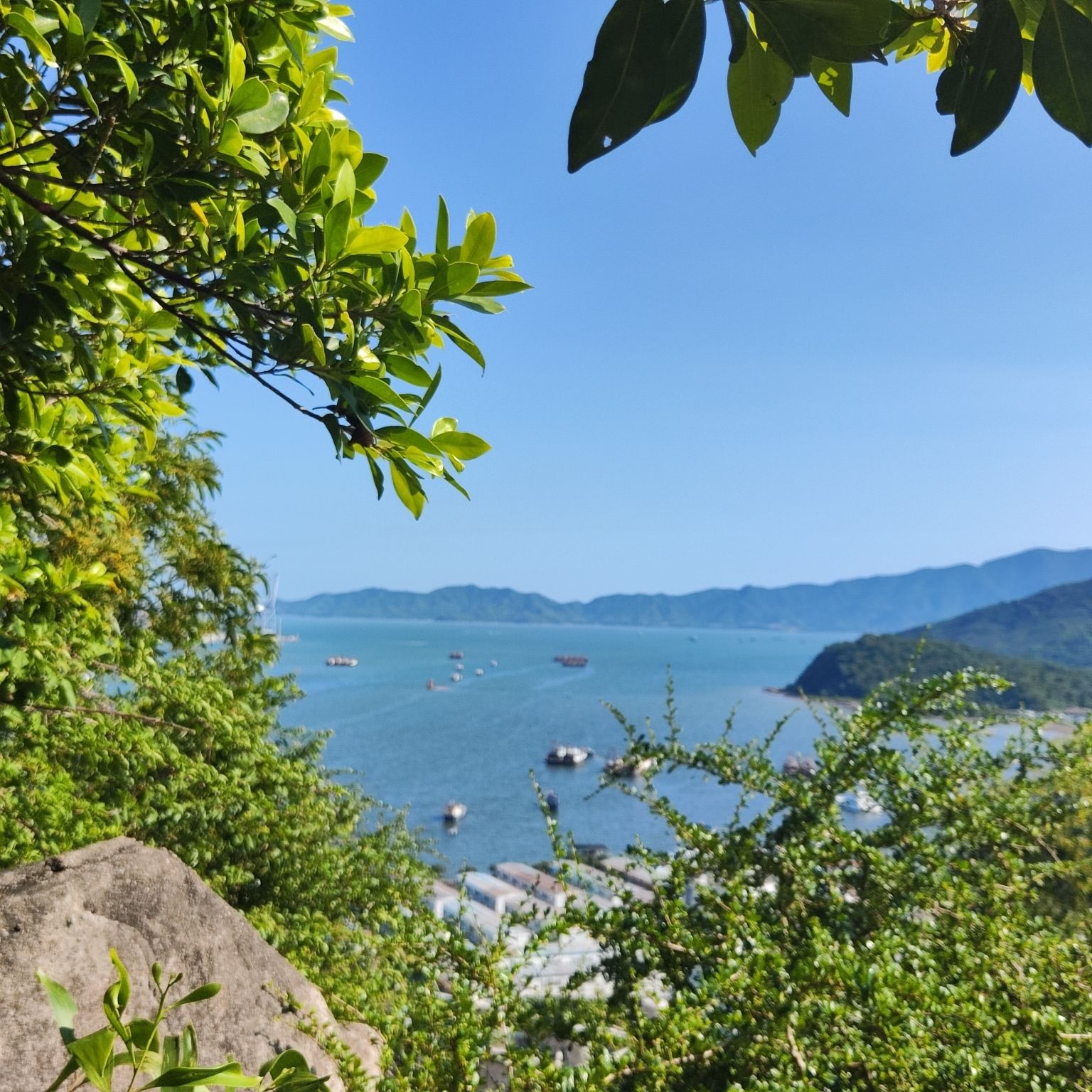 南蛇岭