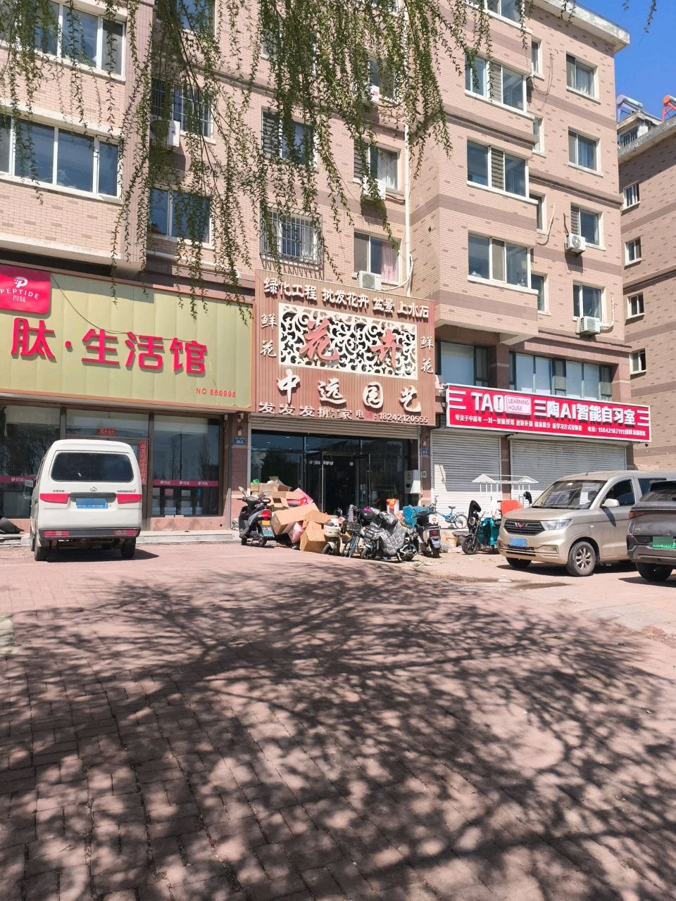 中远园艺(文祥豪府西区店)