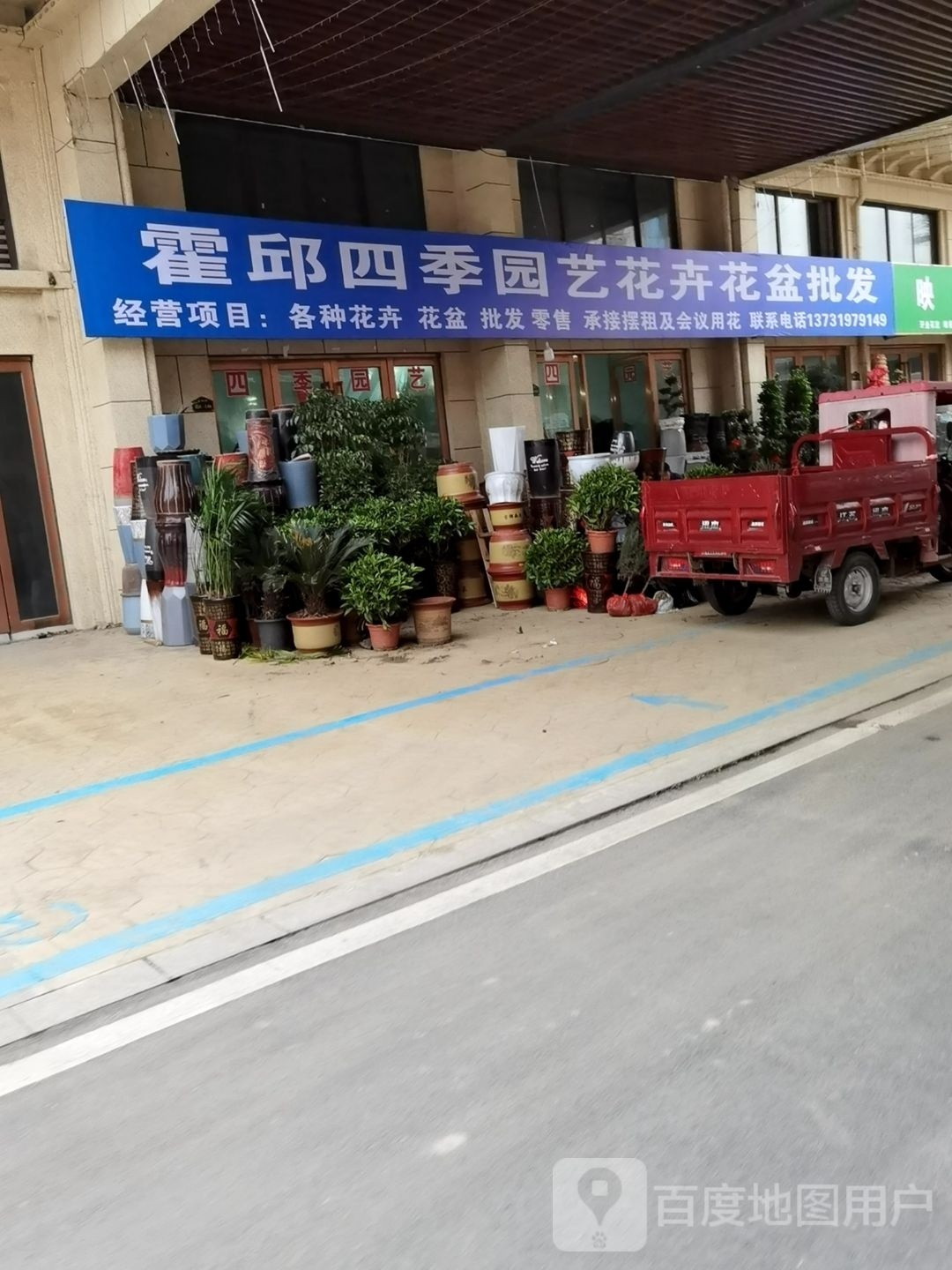 霍邱四季园艺花卉花盆批发