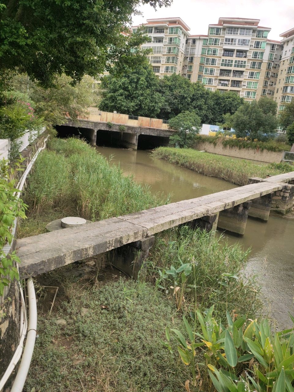 鸡山排洪渠碧道