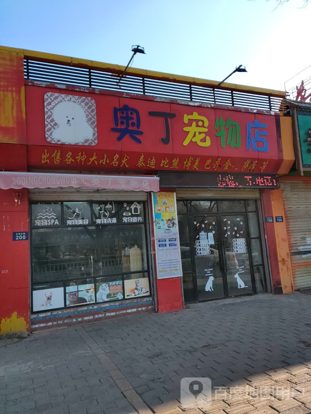 奥丁宠物店