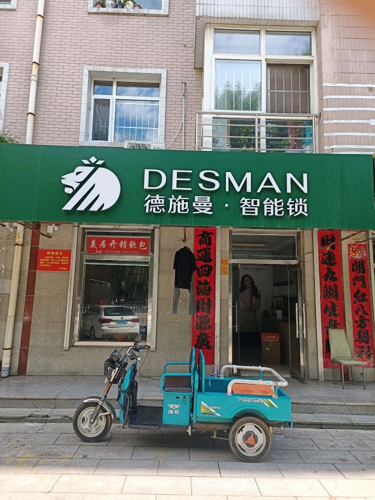 德施曼智能锁开锁软包(福佑路店)