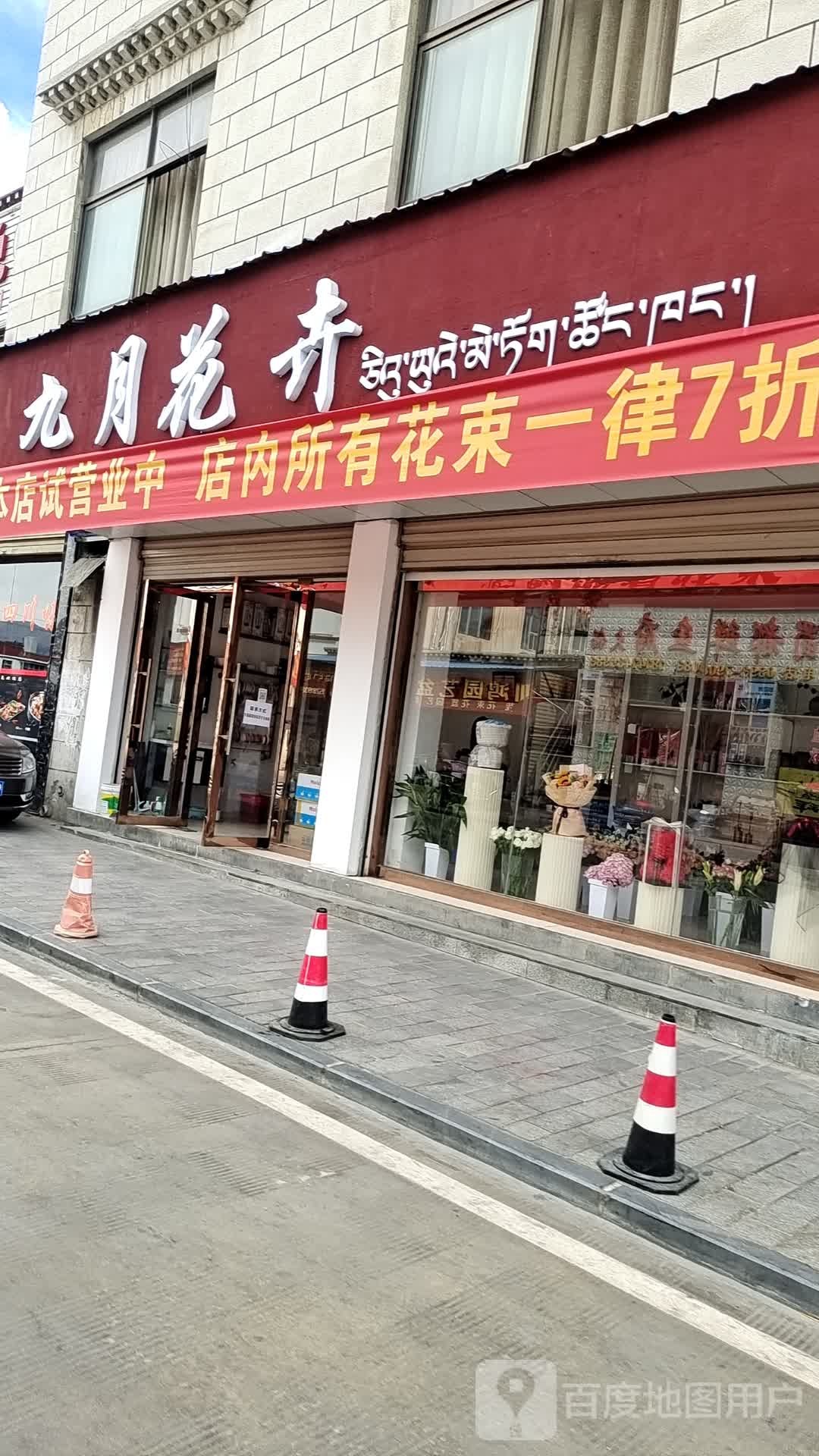 九月花卉