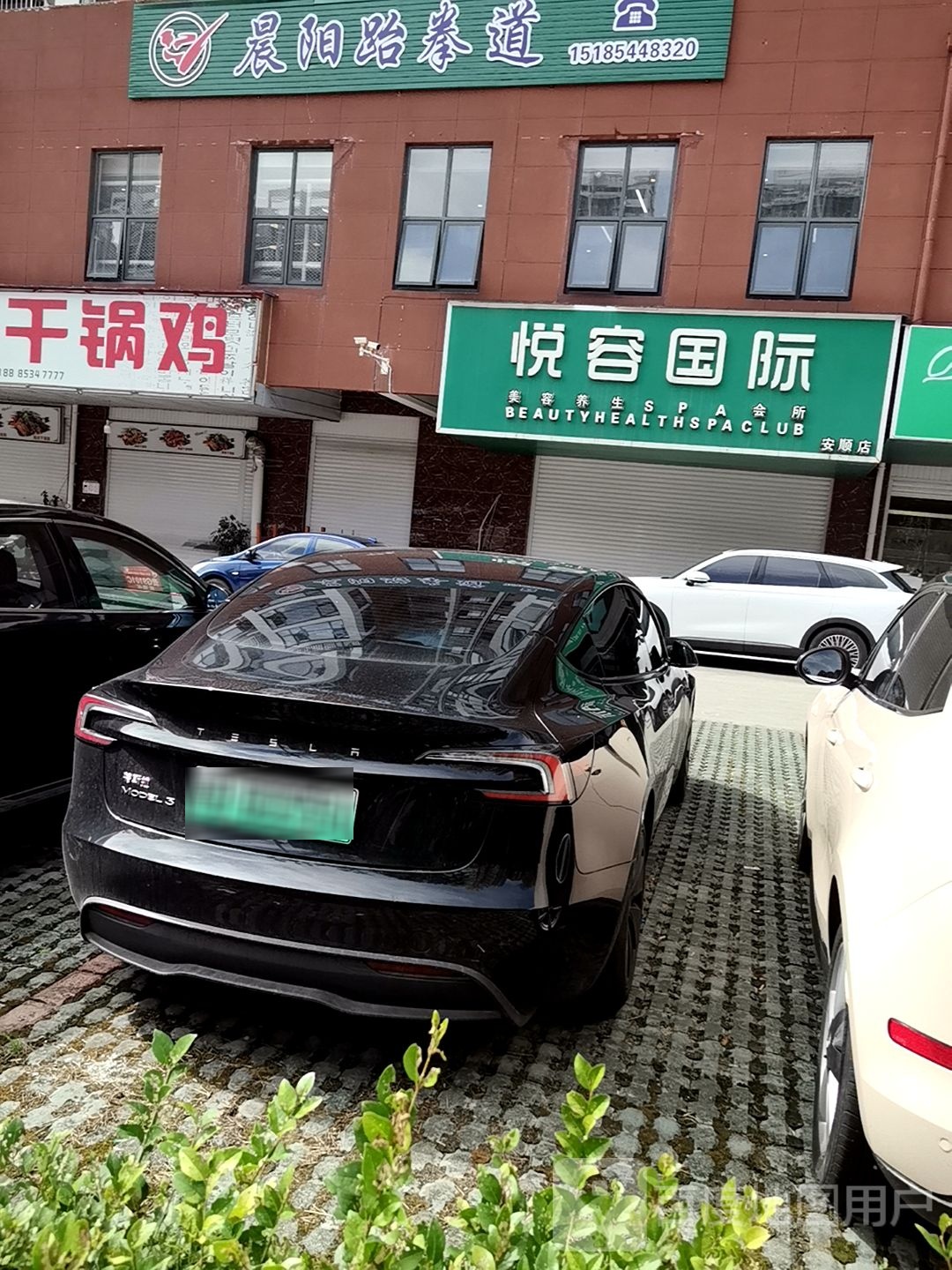 晨阳跆拳道
