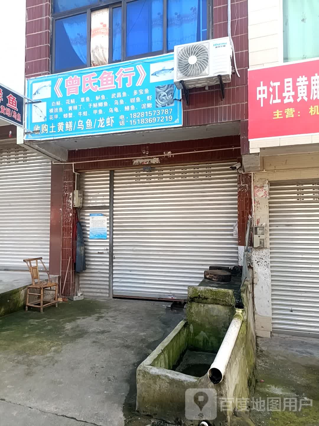 曾氏鱼行