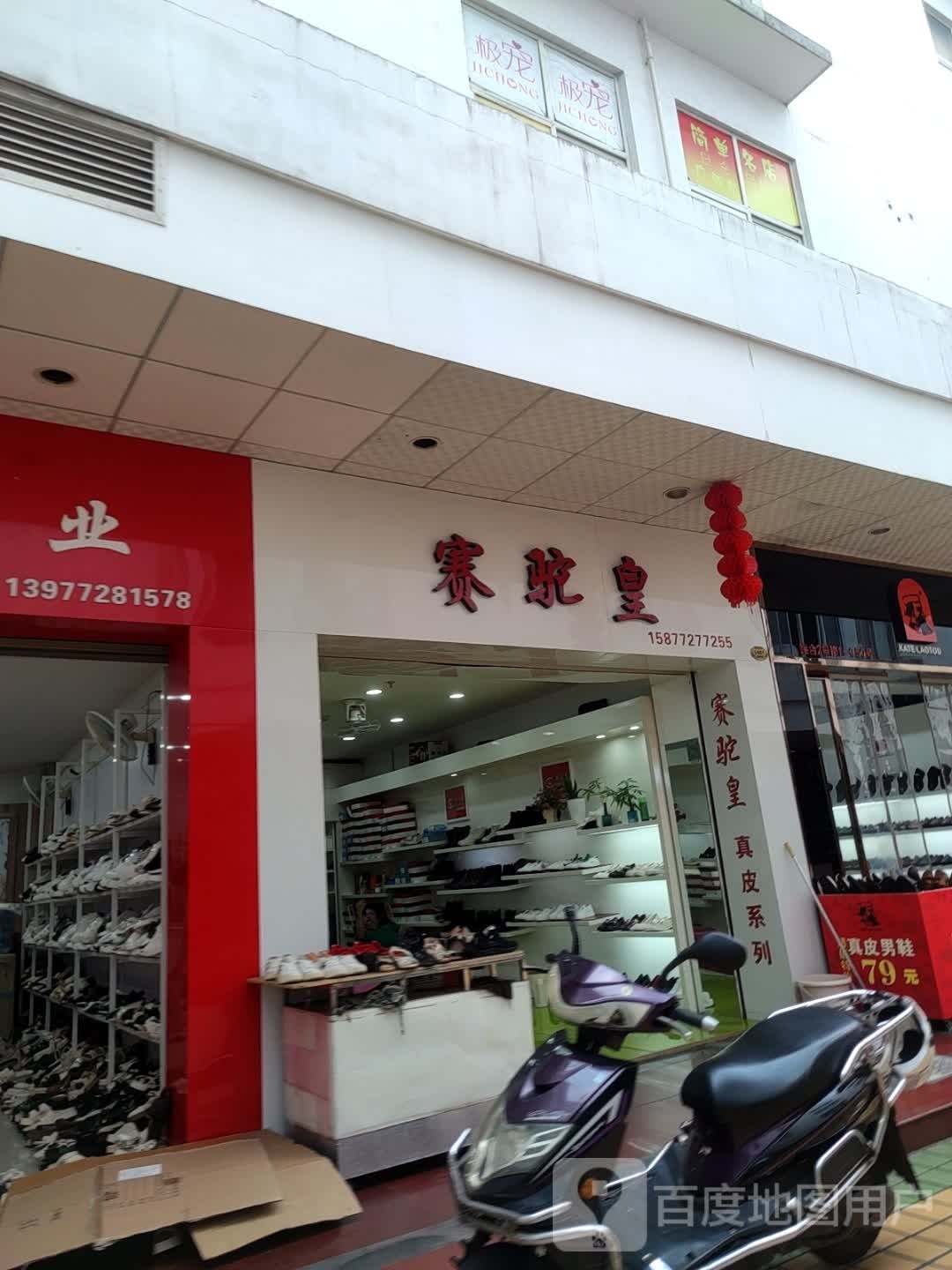 赛驼