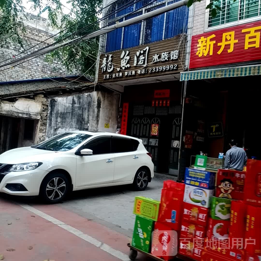 龙鱼阁水族馆