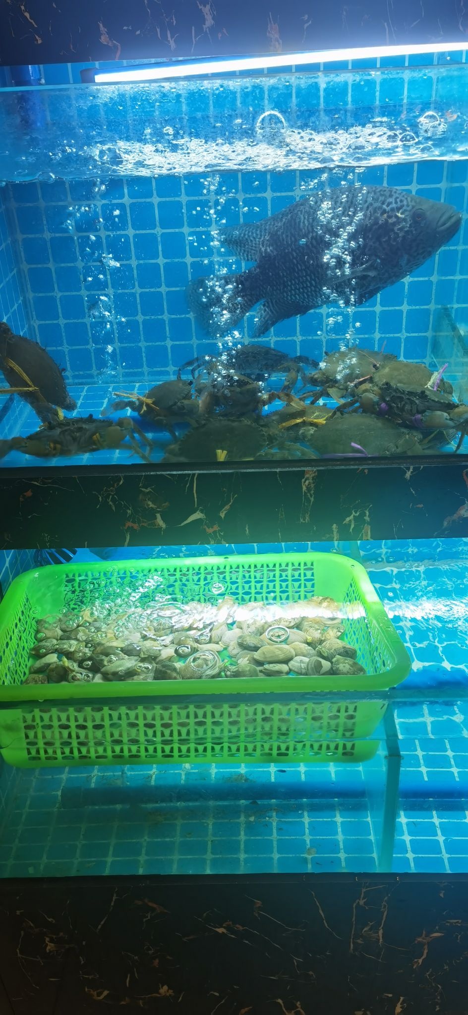 珍姐生鲜猪杂粥