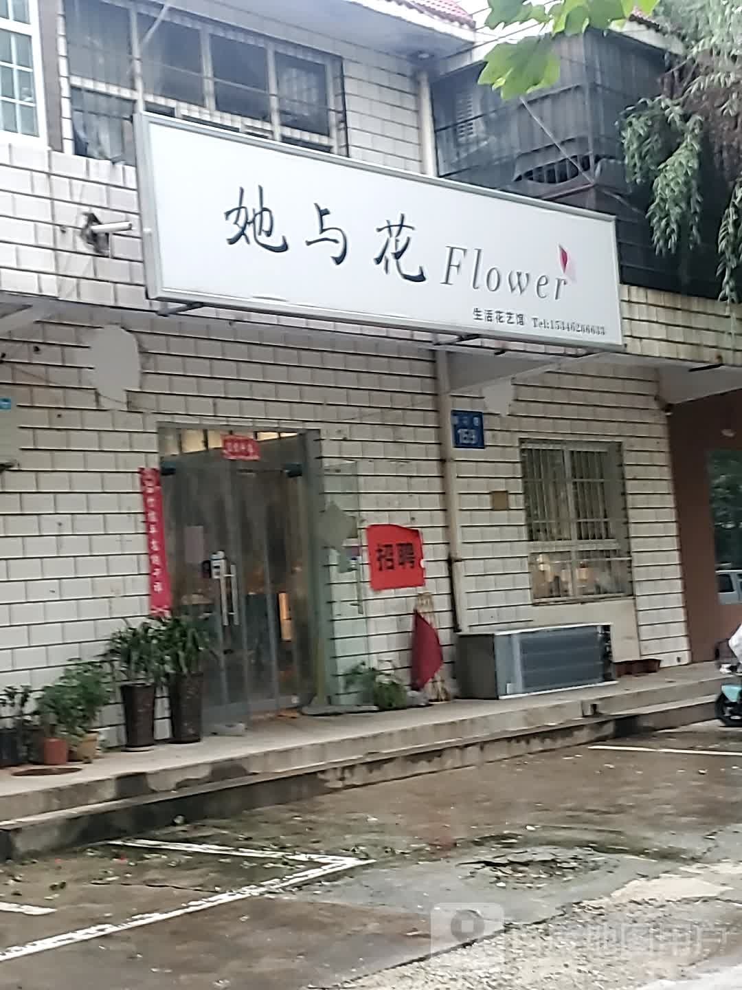 她与华松活花艺馆