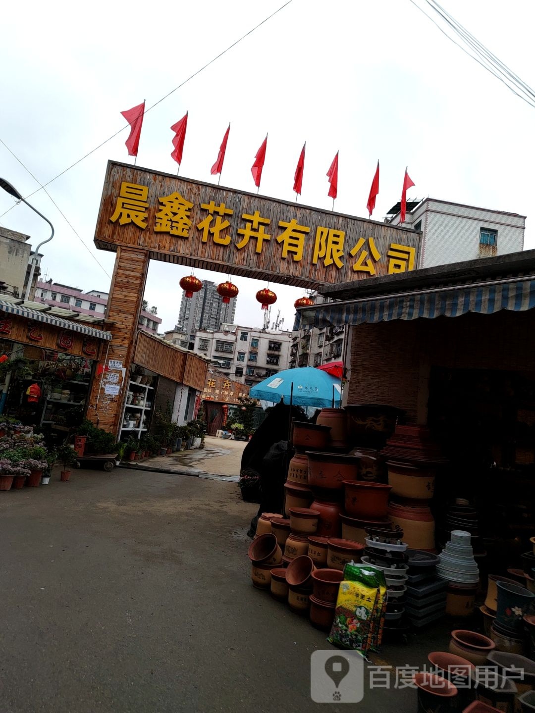 晨鑫花卉有限公司