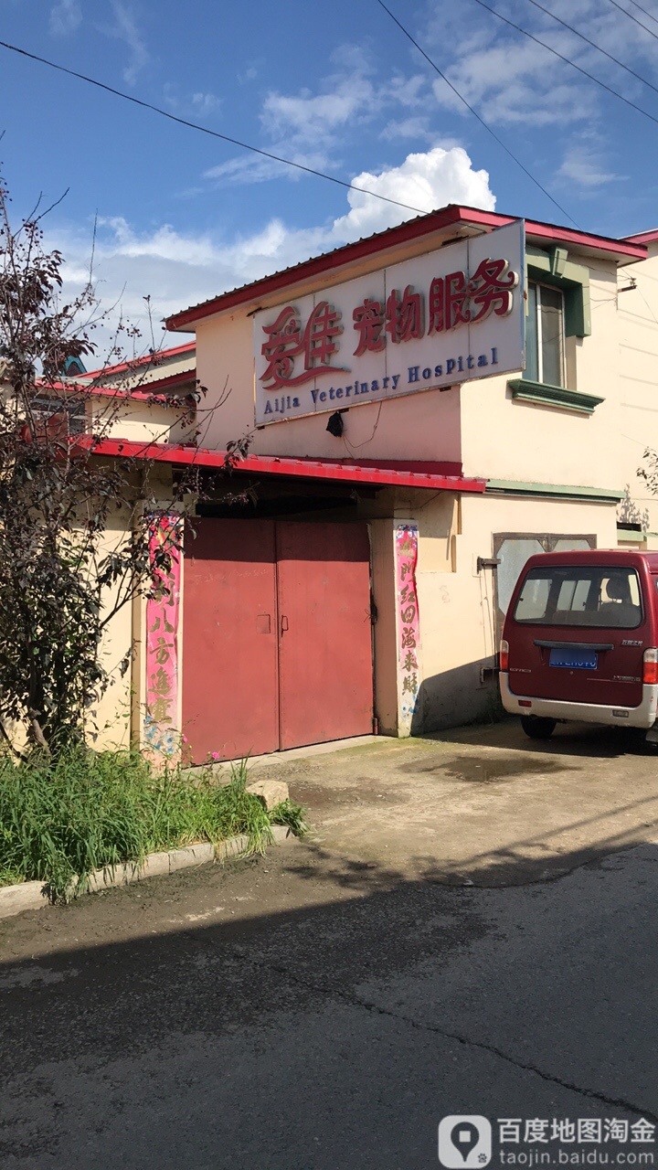 爱家宠物店