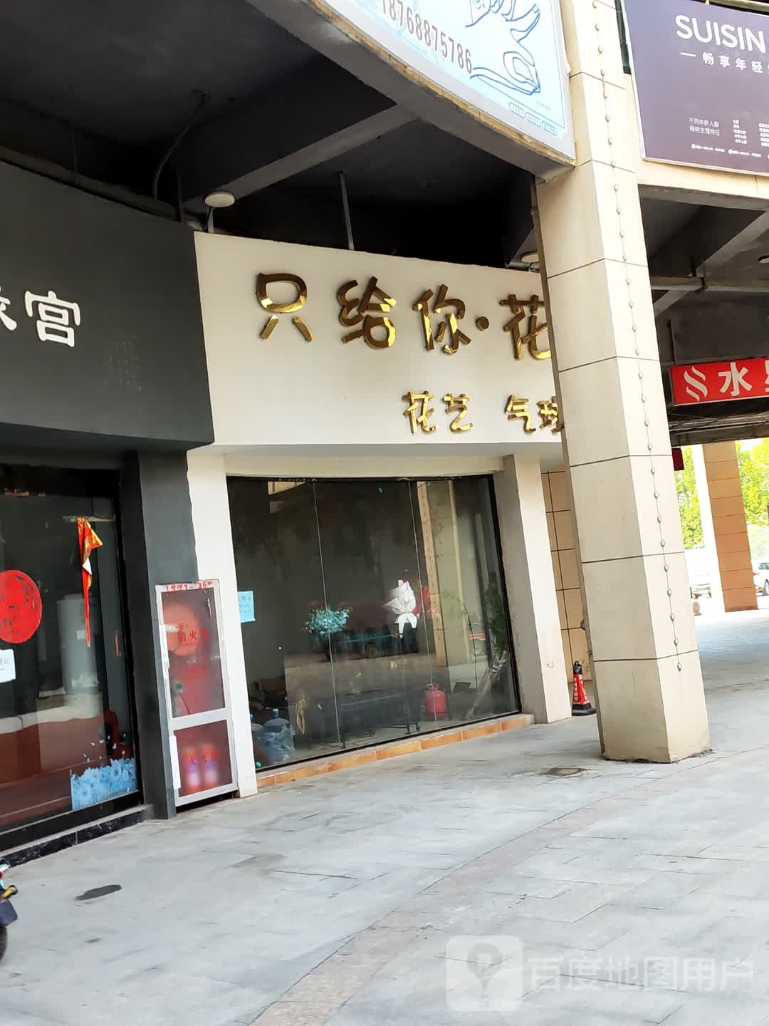 太康县毛庄镇只给你花花艺气球(万城嘉年华广场店)