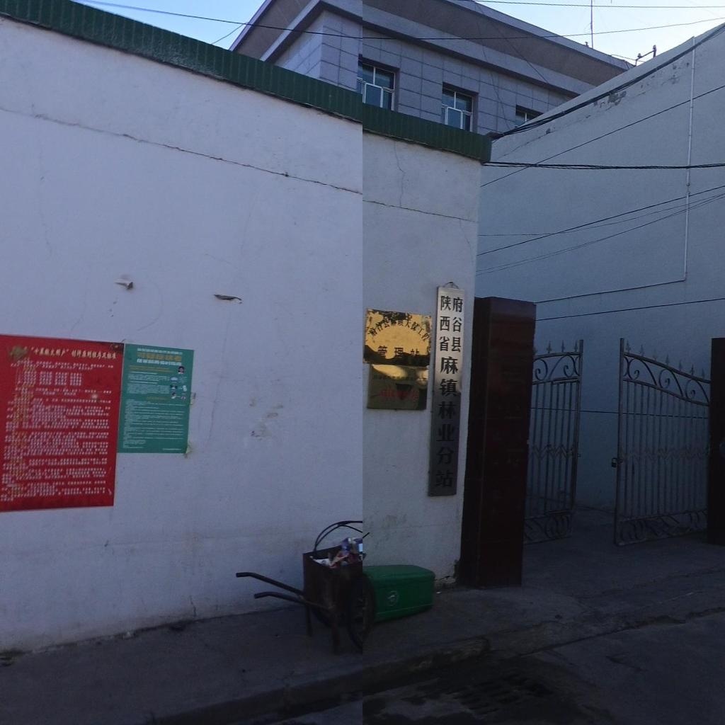 陕西省府谷县麻镇林业站