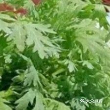 厚远兴塞铜锅涮肉