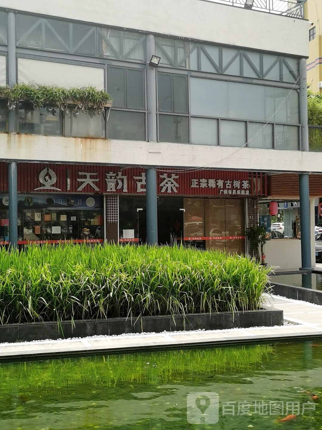 天韵古茶(五羊茶叶城店)