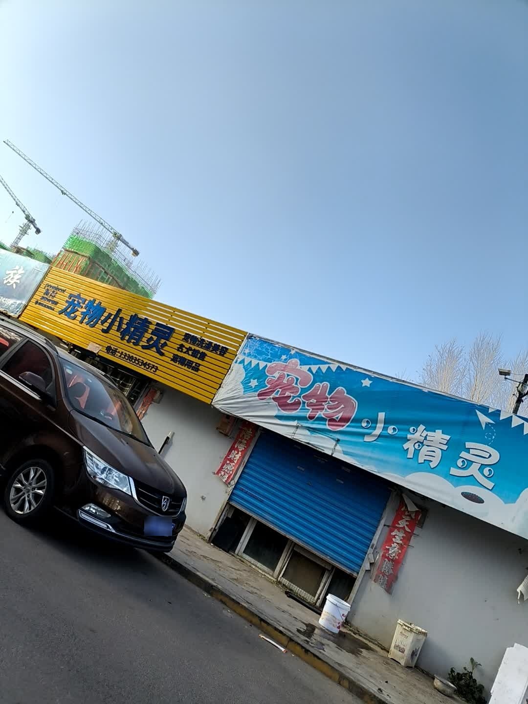 宠物小精灵