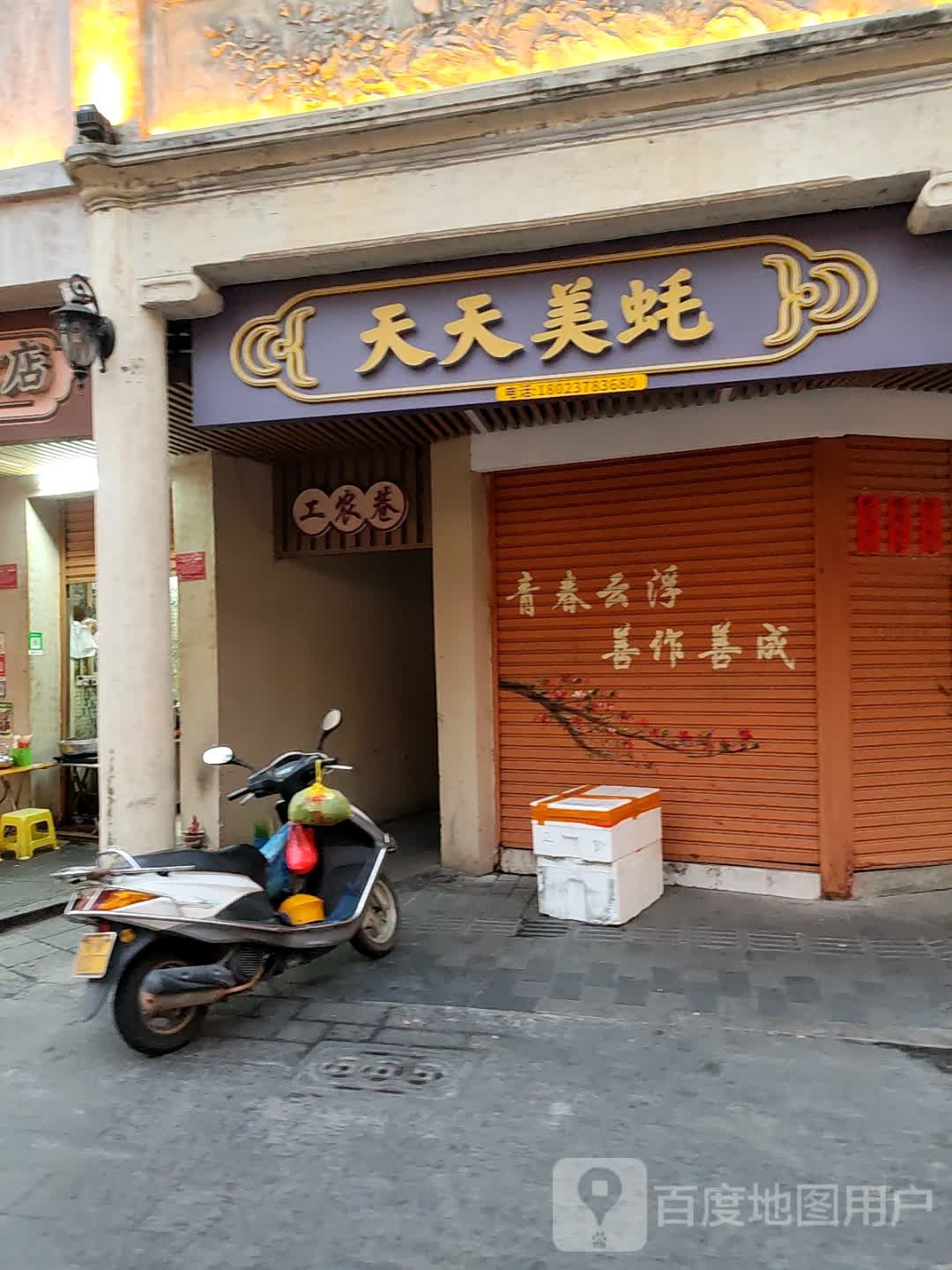 天天美蚝