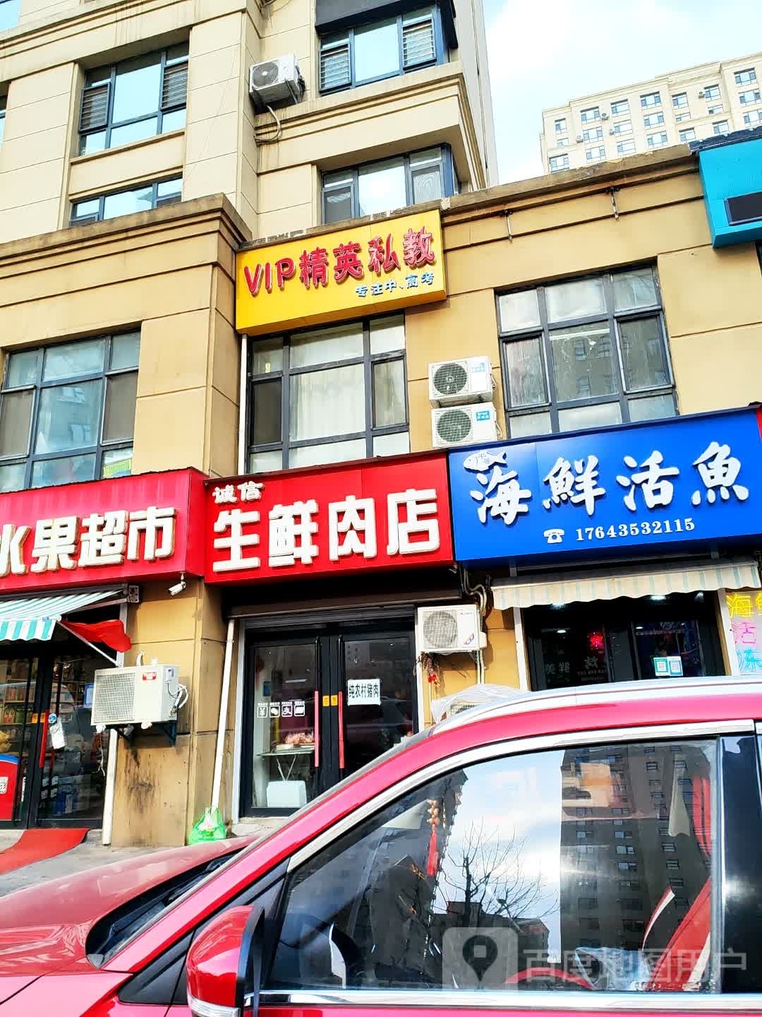 海先活鱼