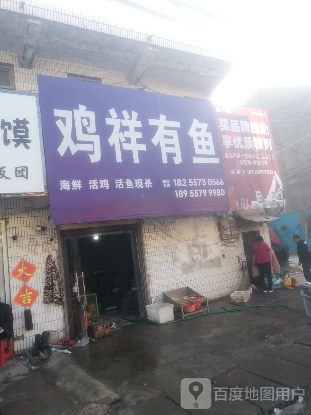 鸡祥有鱼