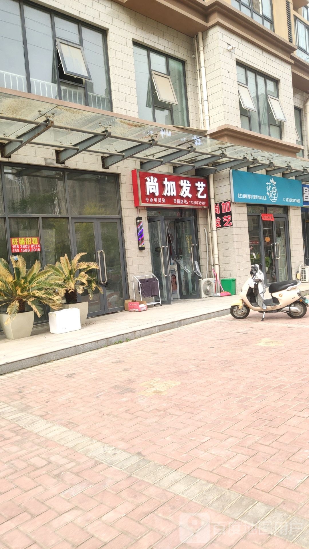 荥阳市尚加发艺(碧桂园演武路店)