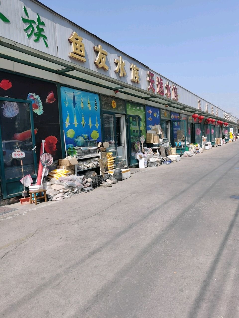 鱼友水族(花卉市场店)