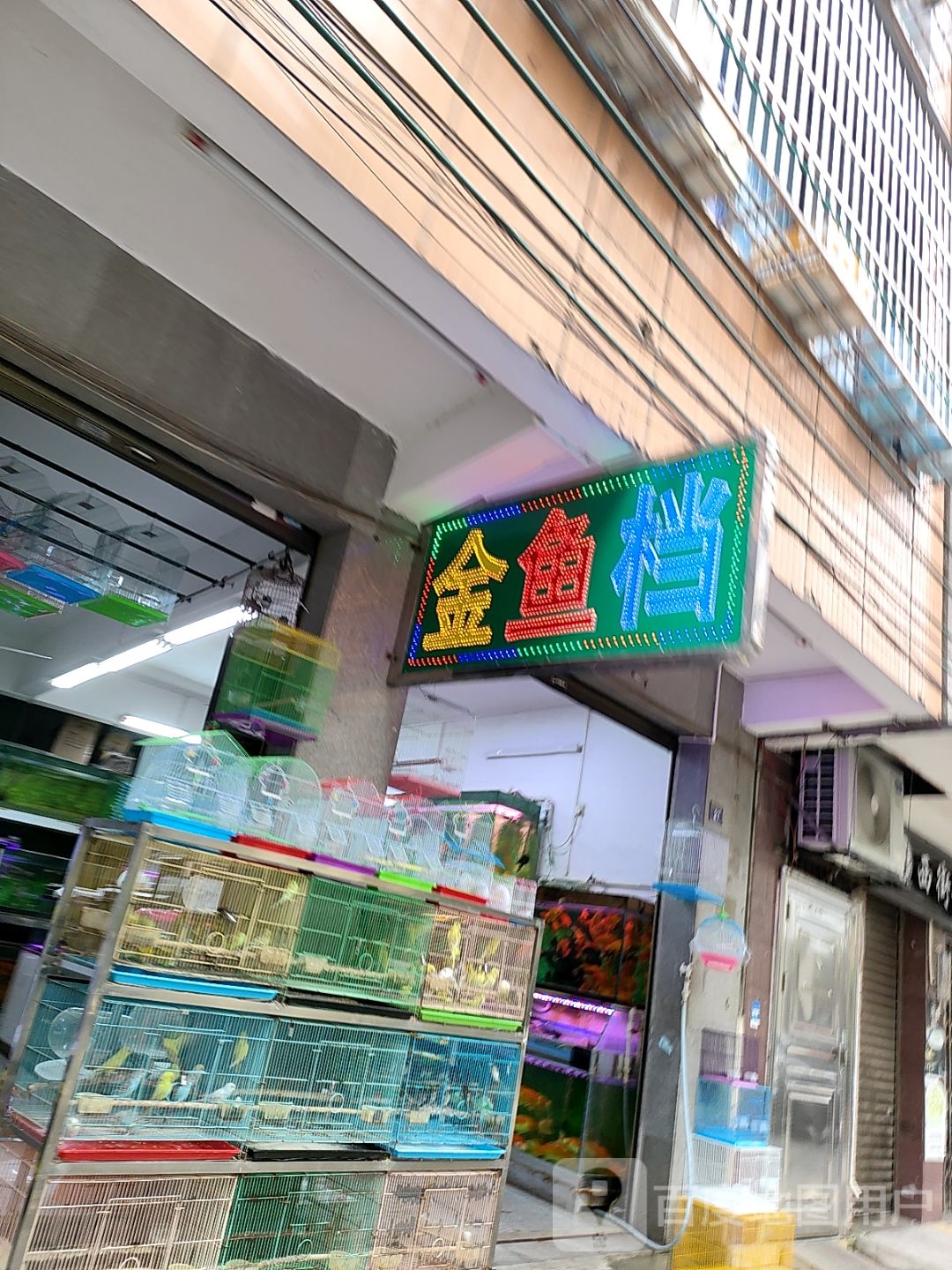 金鱼档