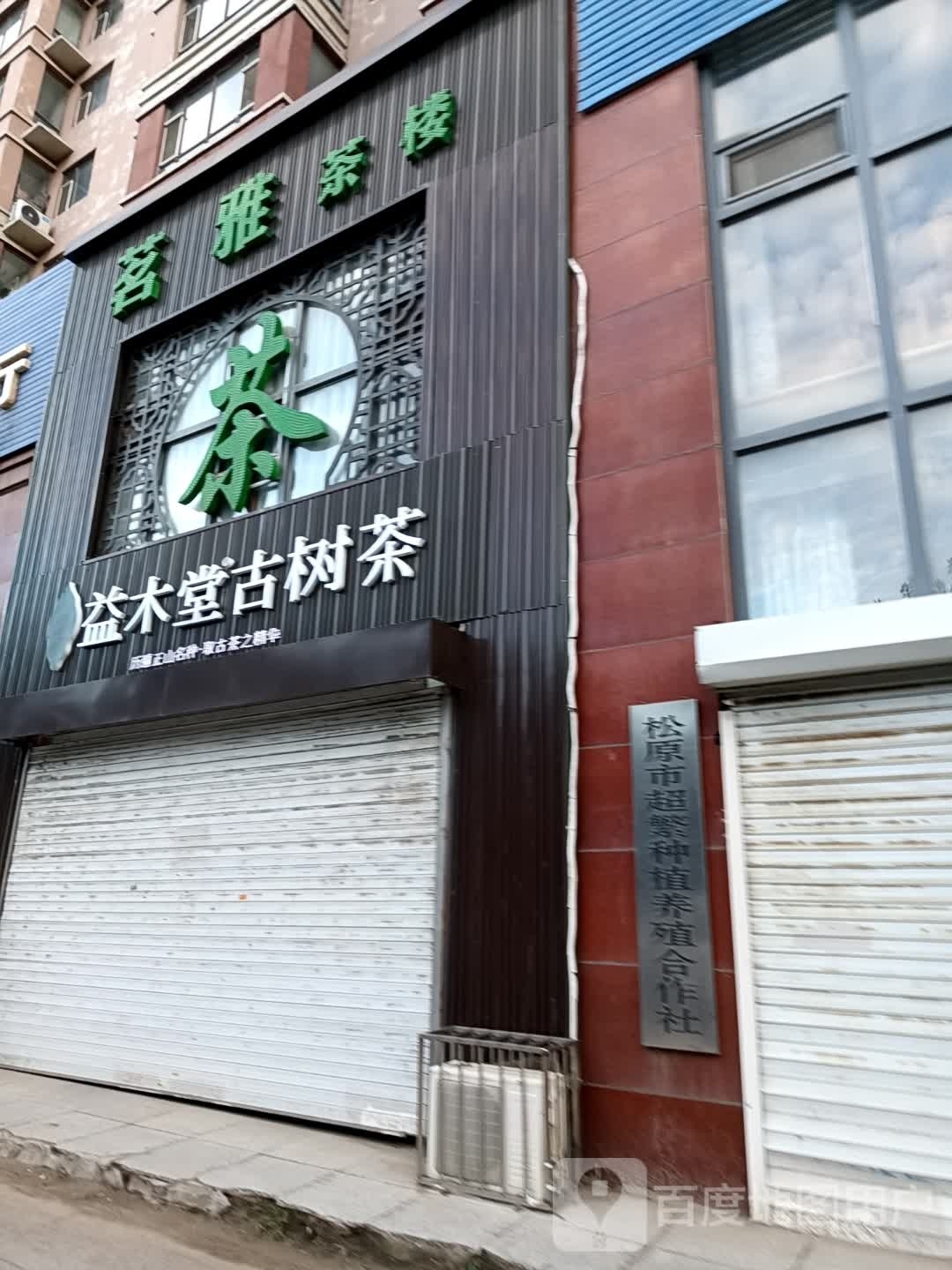 益木堂古树茶(松原大路店)