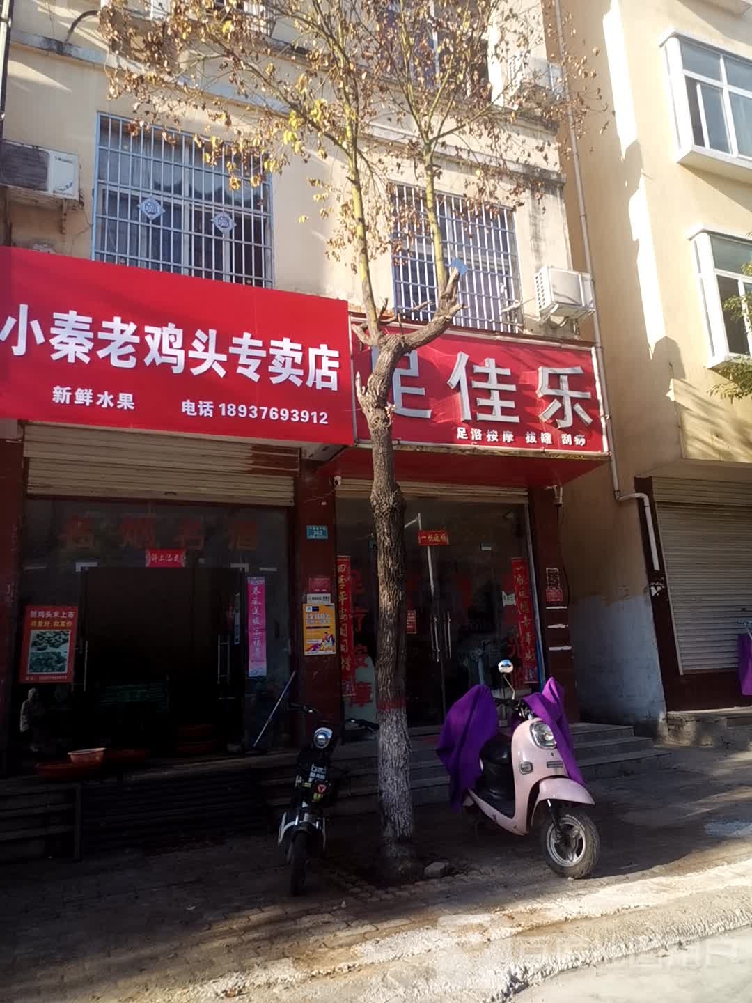 足嘉乐