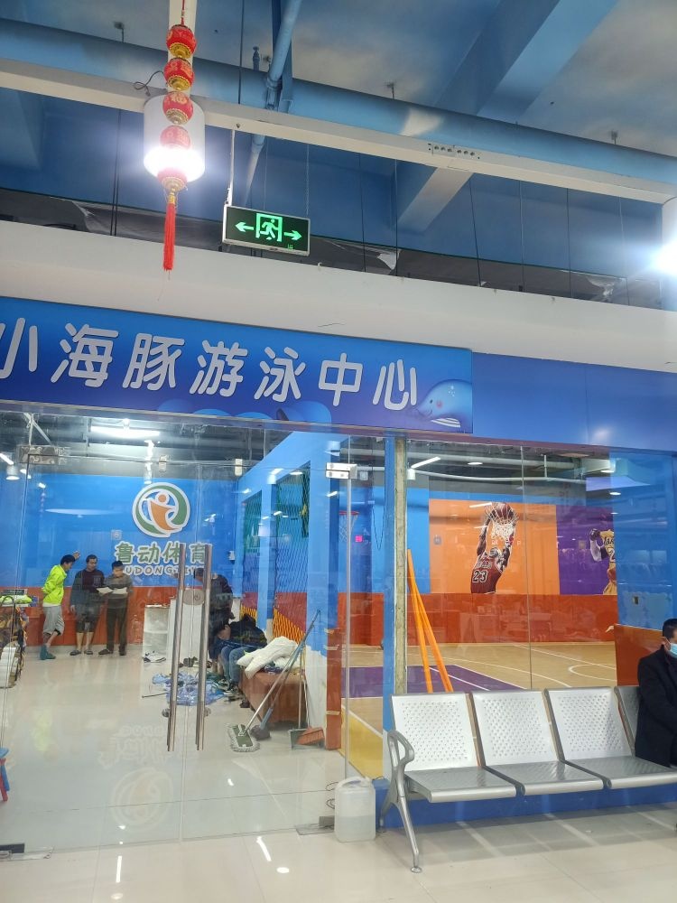 小海豚游泳中新