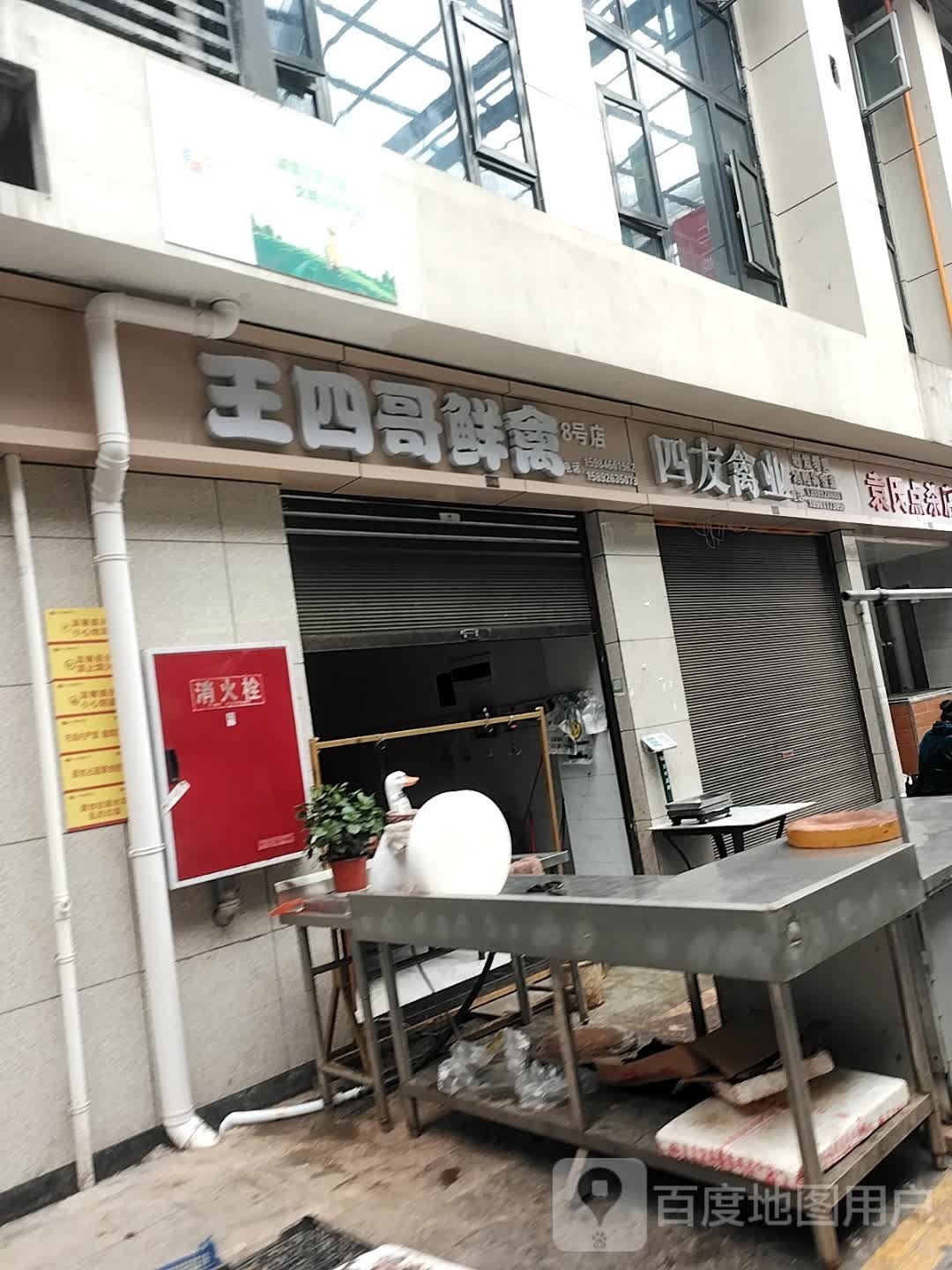 王四哥鲜禽(辽宁大道店)