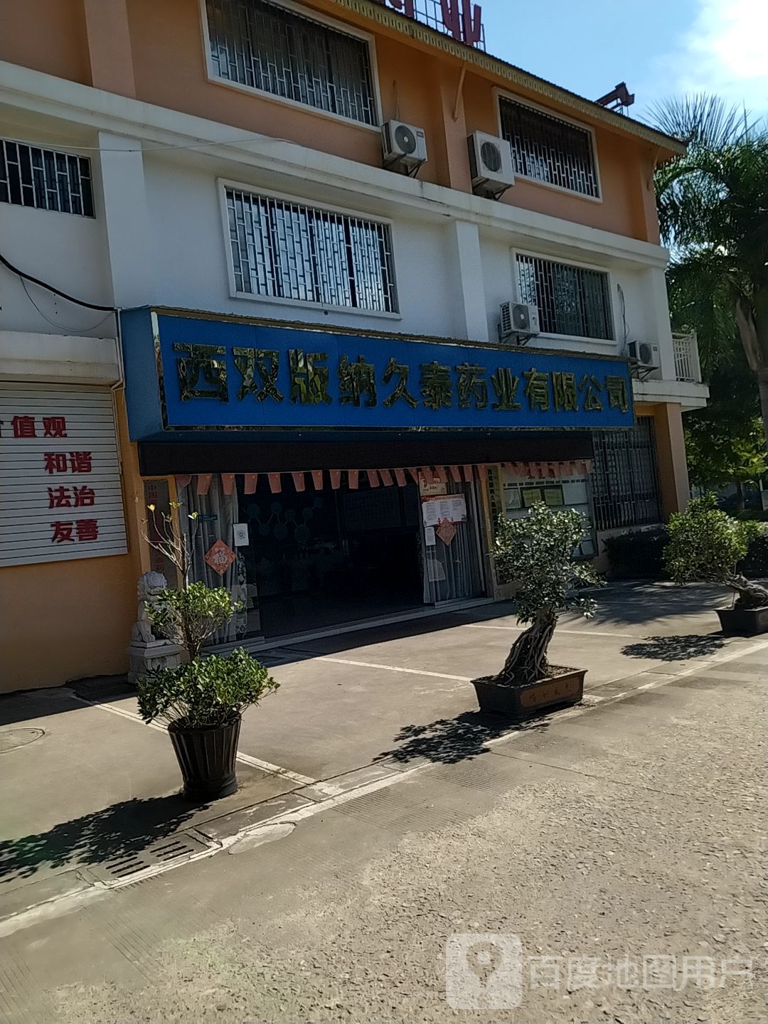 云南省久泰药业有限公司西双版纳分公司