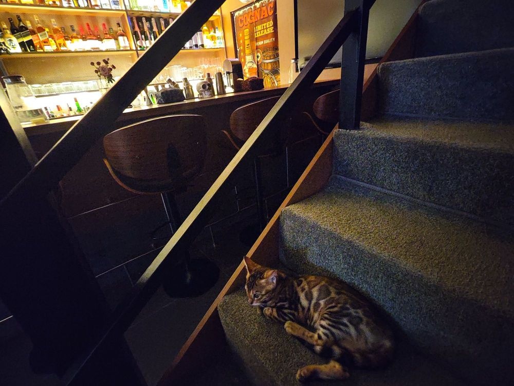 醴隅Cafe&Bar