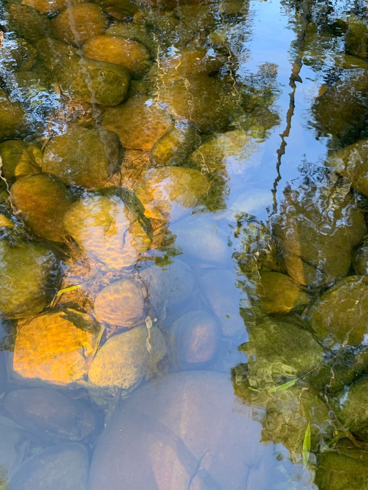 竹林禅院