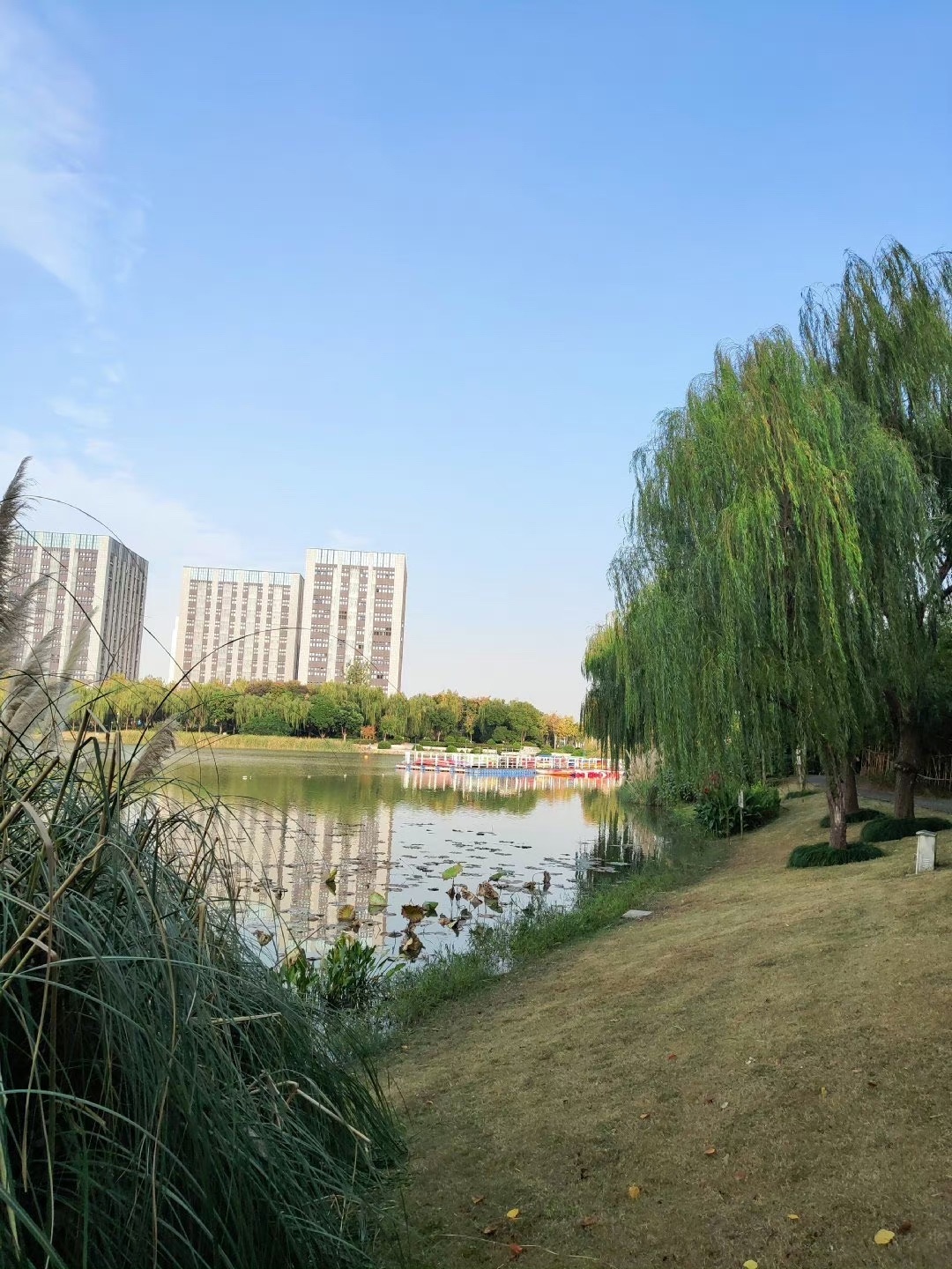 银翔湖公园