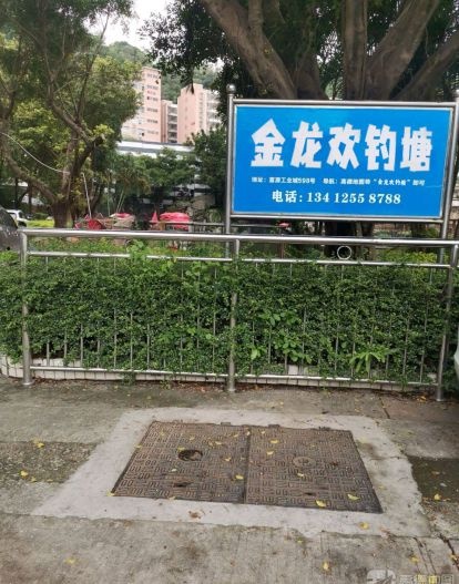 金龙欢钓塘
