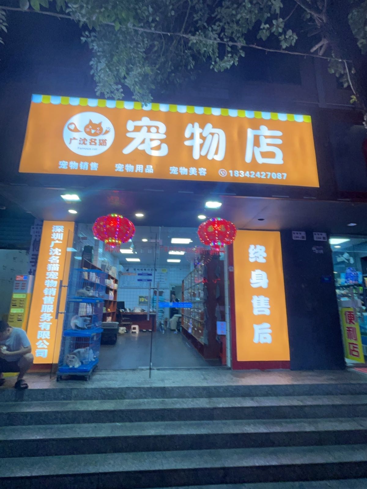 广沈名猫宠物店西乡分店