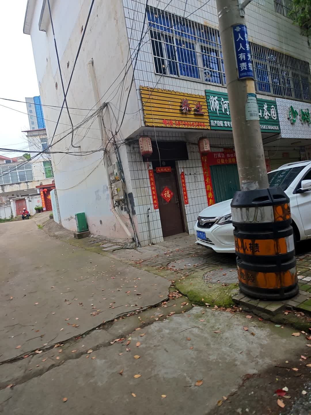 养生