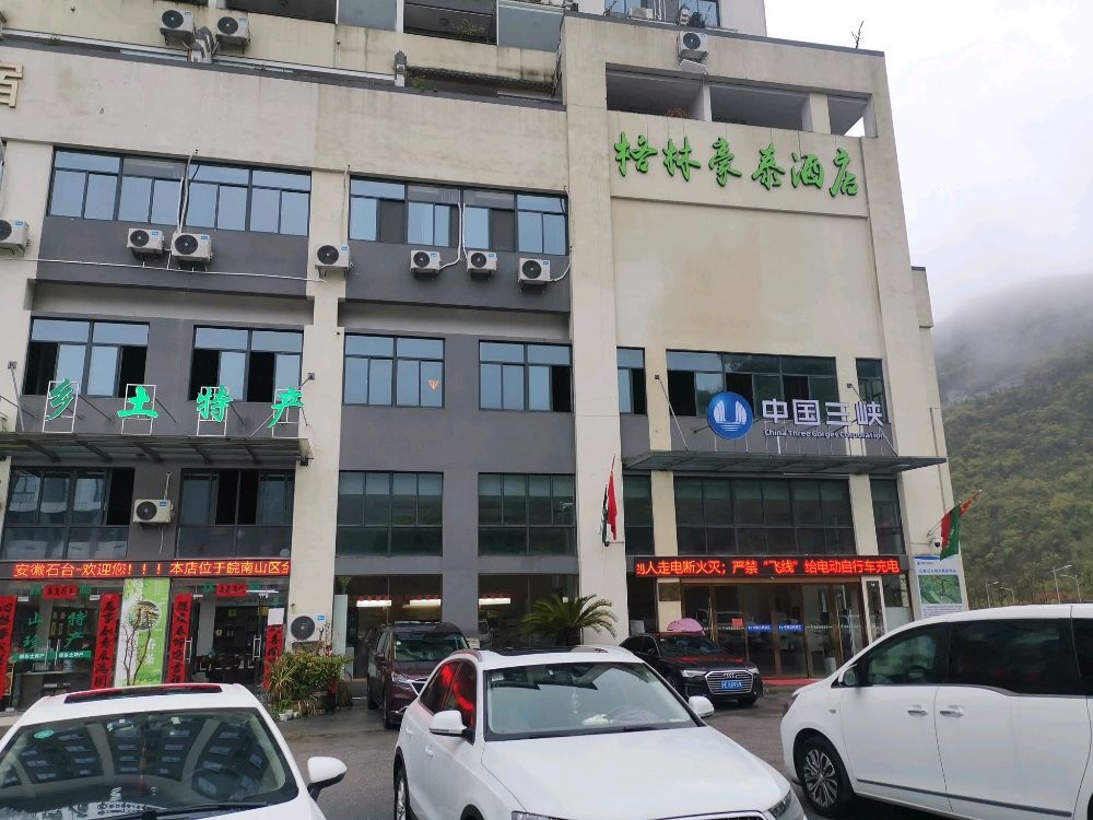 安徽石台抽水蓄能有限公司筹备组