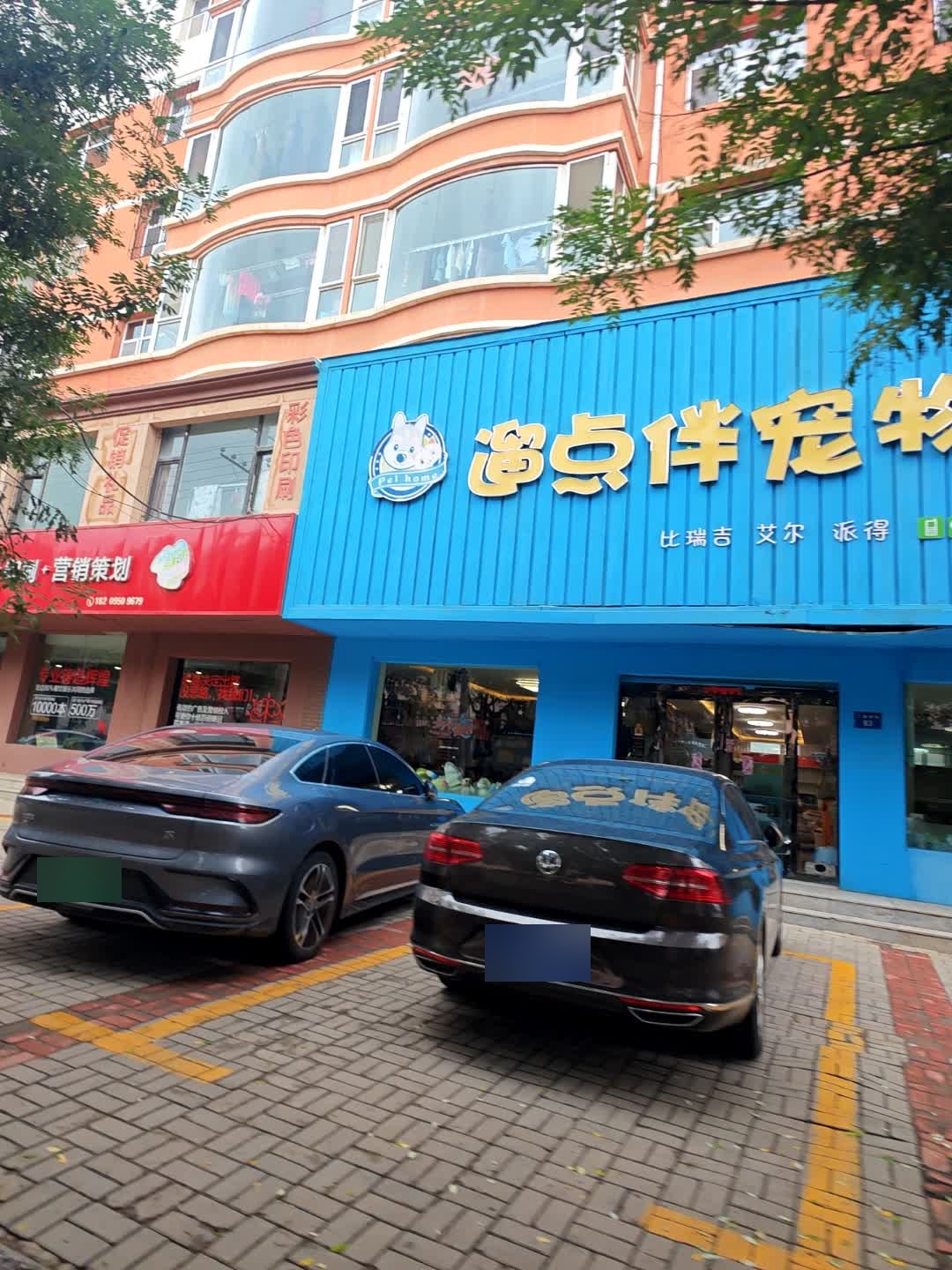 遛点伴宠物店