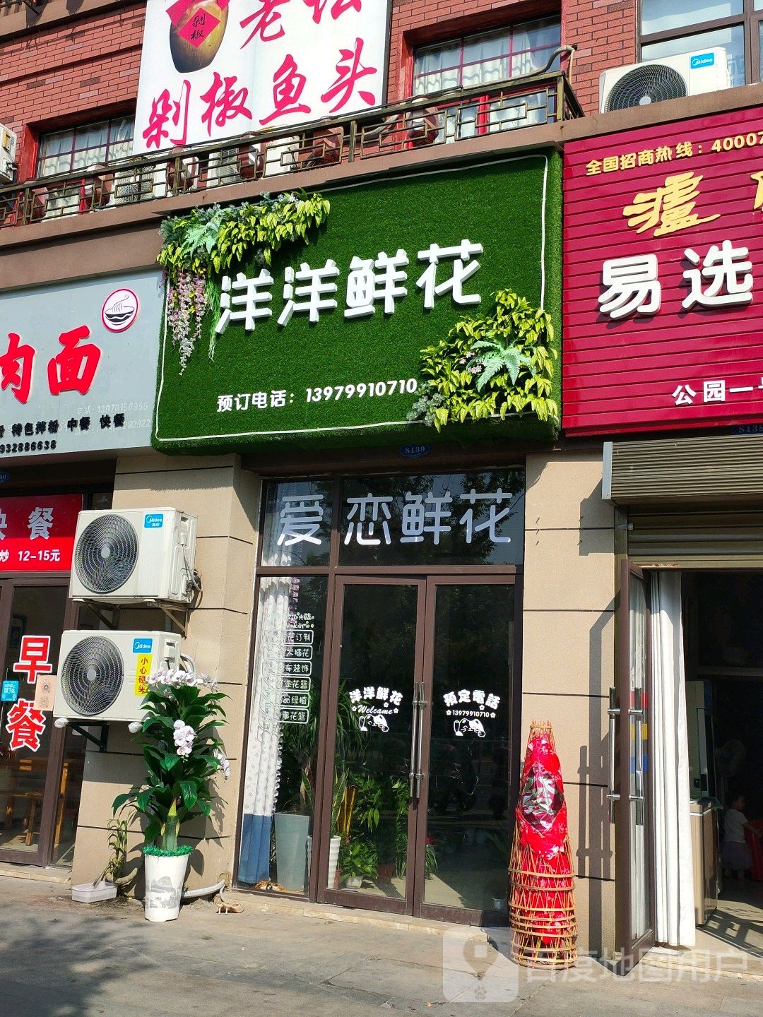 洋洋鲜花