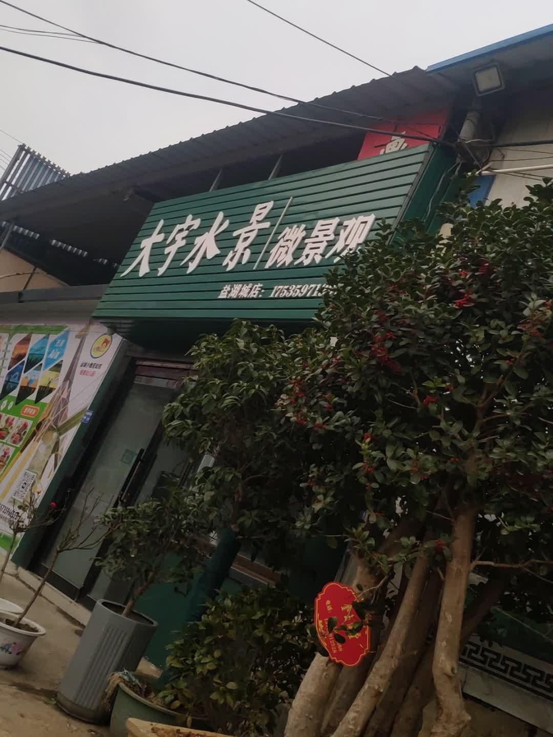 大宇水景微景观(盐湖城店)