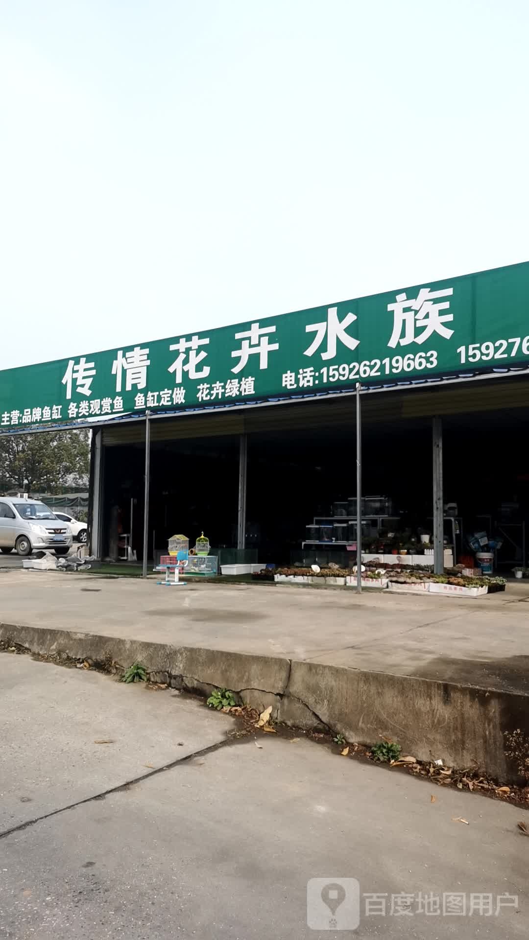 传情花卉水族