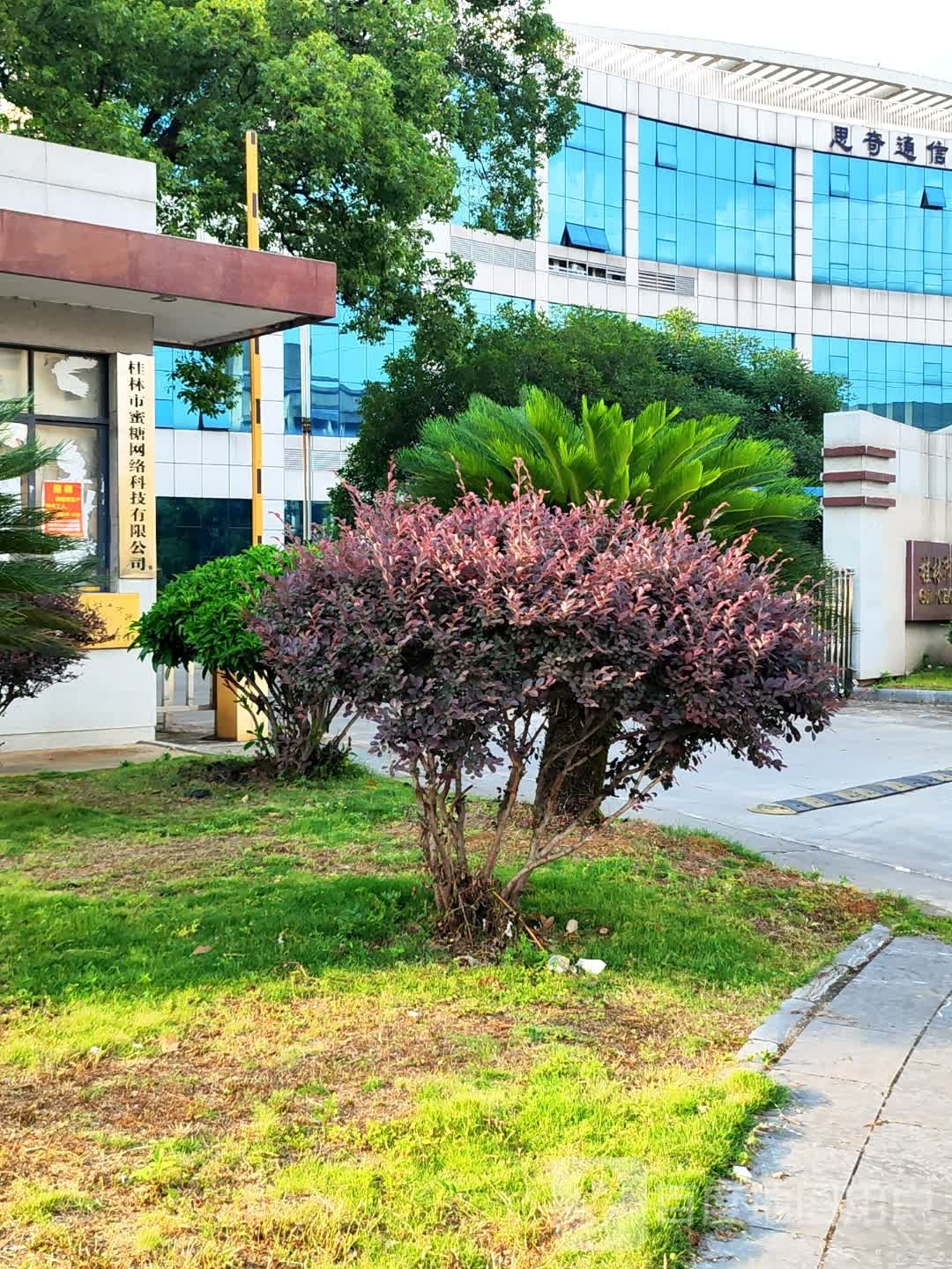 桂林市小蜗科技有限公司