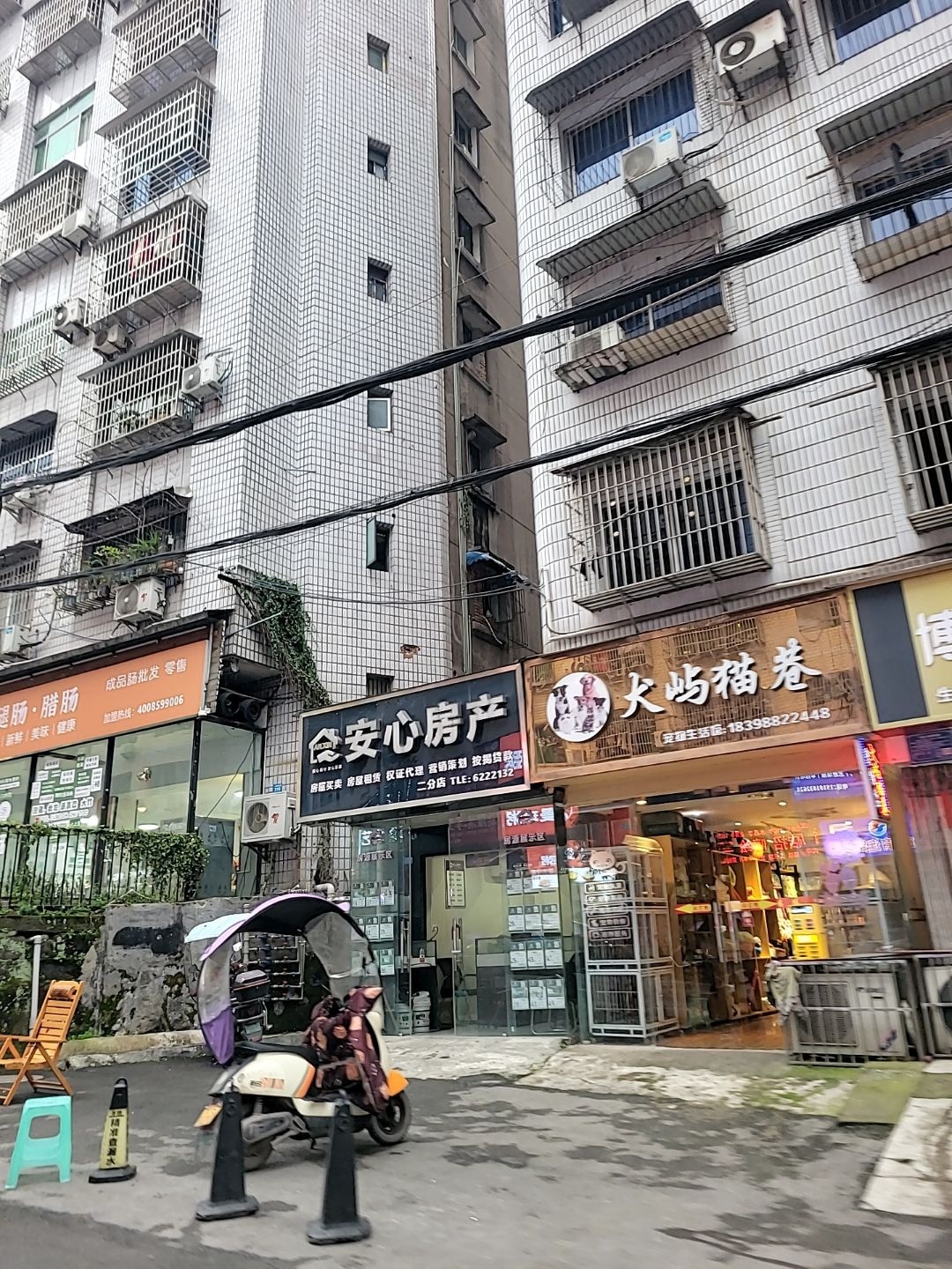 犬屿猫巷宠物生活馆