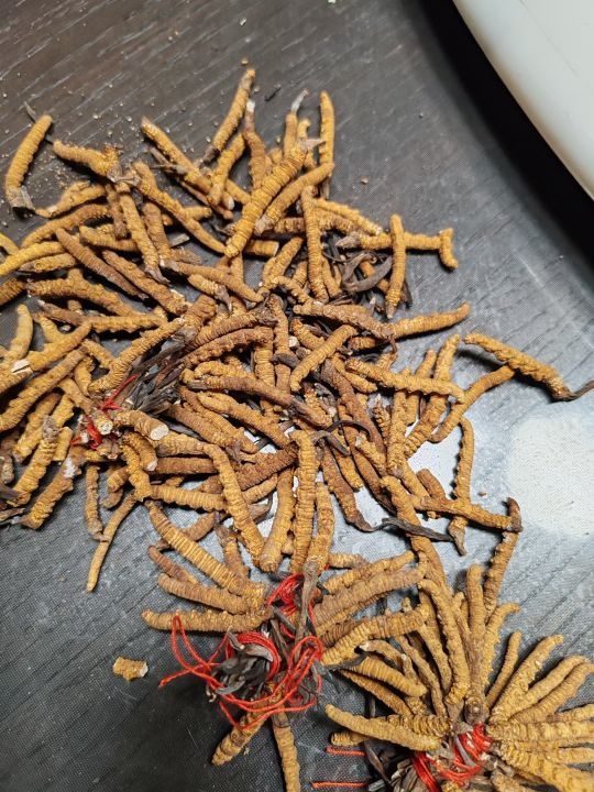 金诚回收烟酒茅台虫草礼品老酒回收(康华路店)