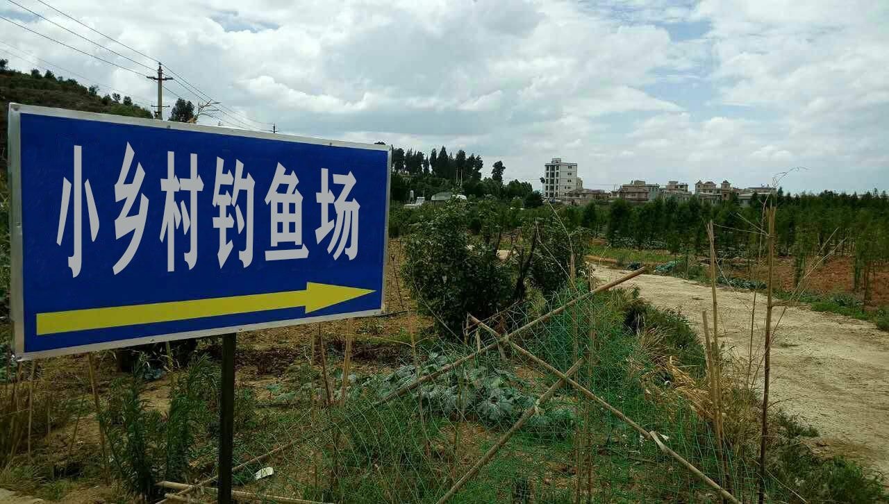 小乡村钓鱼场